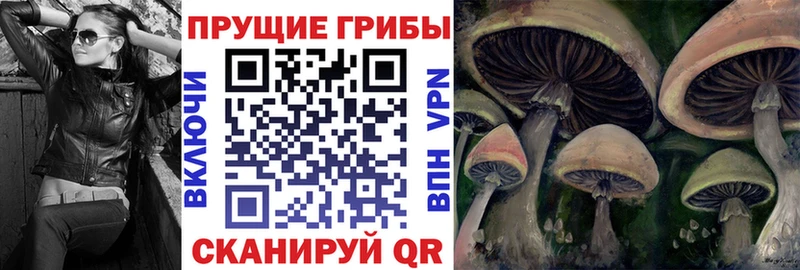 Псилоцибиновые грибы MAGIC MUSHROOMS  Гороховец 